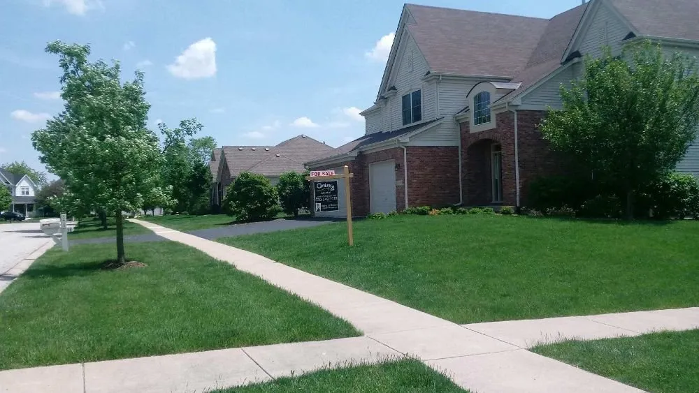 Expert yard maintenance in Geneva, IL by American Artists Landscaping