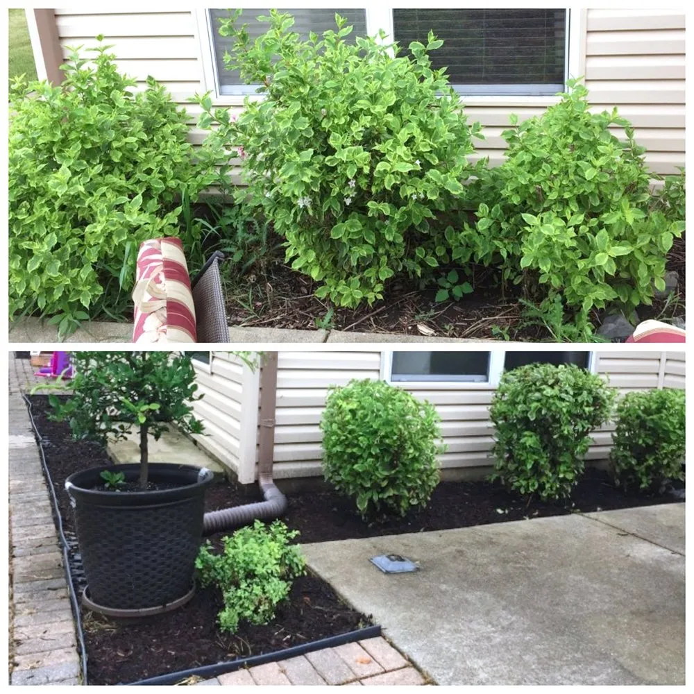 Affordable yard maintenance for residential properties in Geneva, IL by American Artists Landscaping