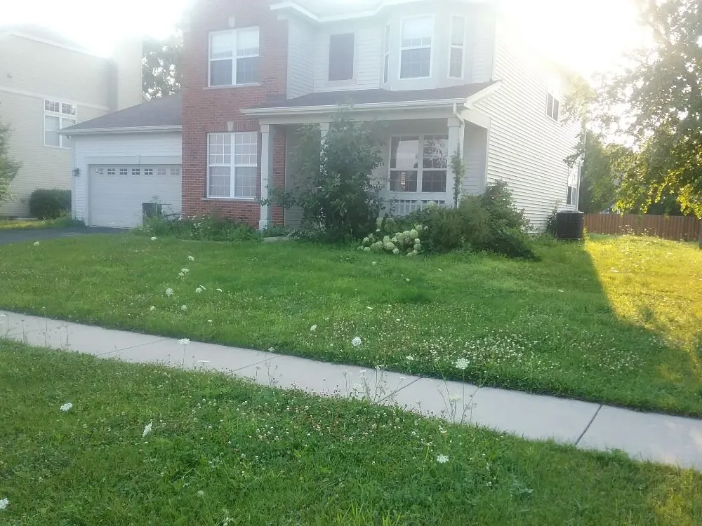 Expert landscape installation for outdoor upgrades in Geneva, IL by American Artists Landscaping