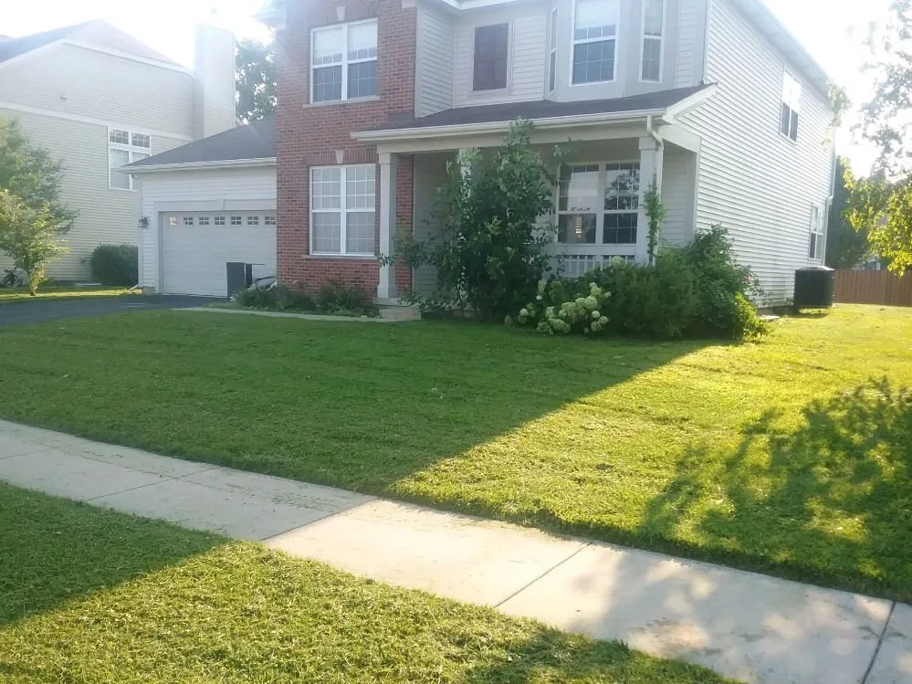 Trusted yard cleanup service experts serving Geneva, IL - American Artists Landscaping