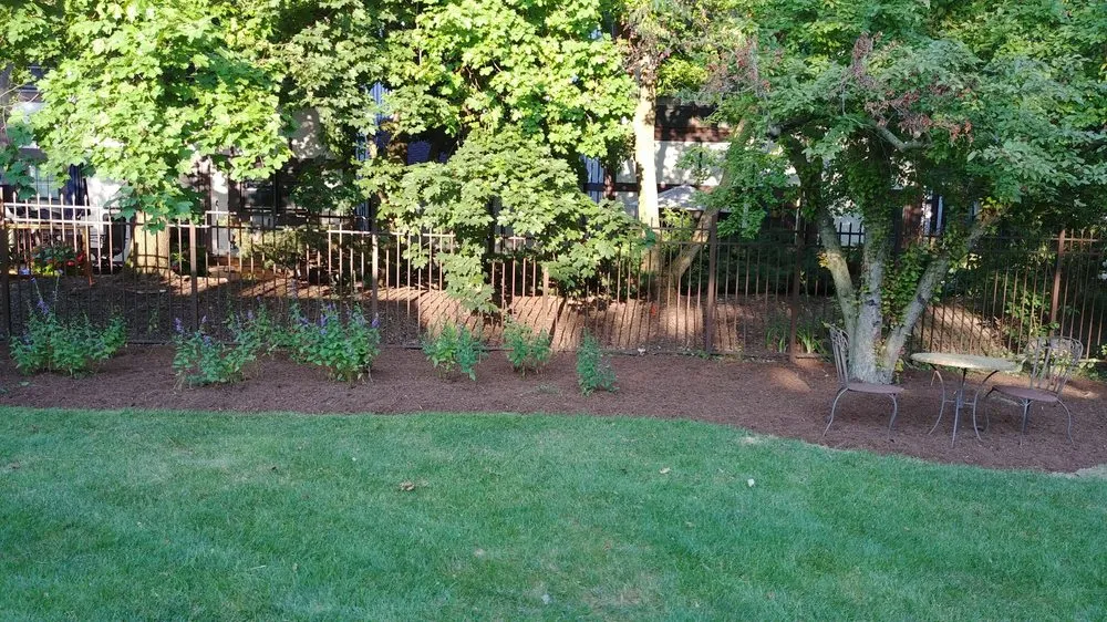 Reliable yard cleanup service for outdoor upgrades across Geneva, IL - American Artists Landscaping