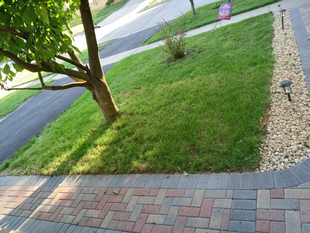 Professional lawn mowing service with custom design in Elk Grove Village, IL by American Brick & Landscaping