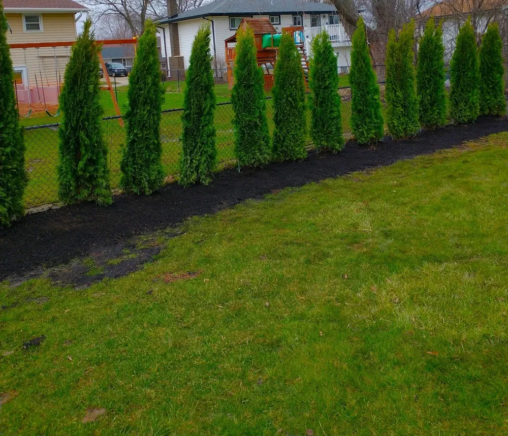 Reliable lawn mowing service experts serving Elk Grove Village, IL - American Brick & Landscaping