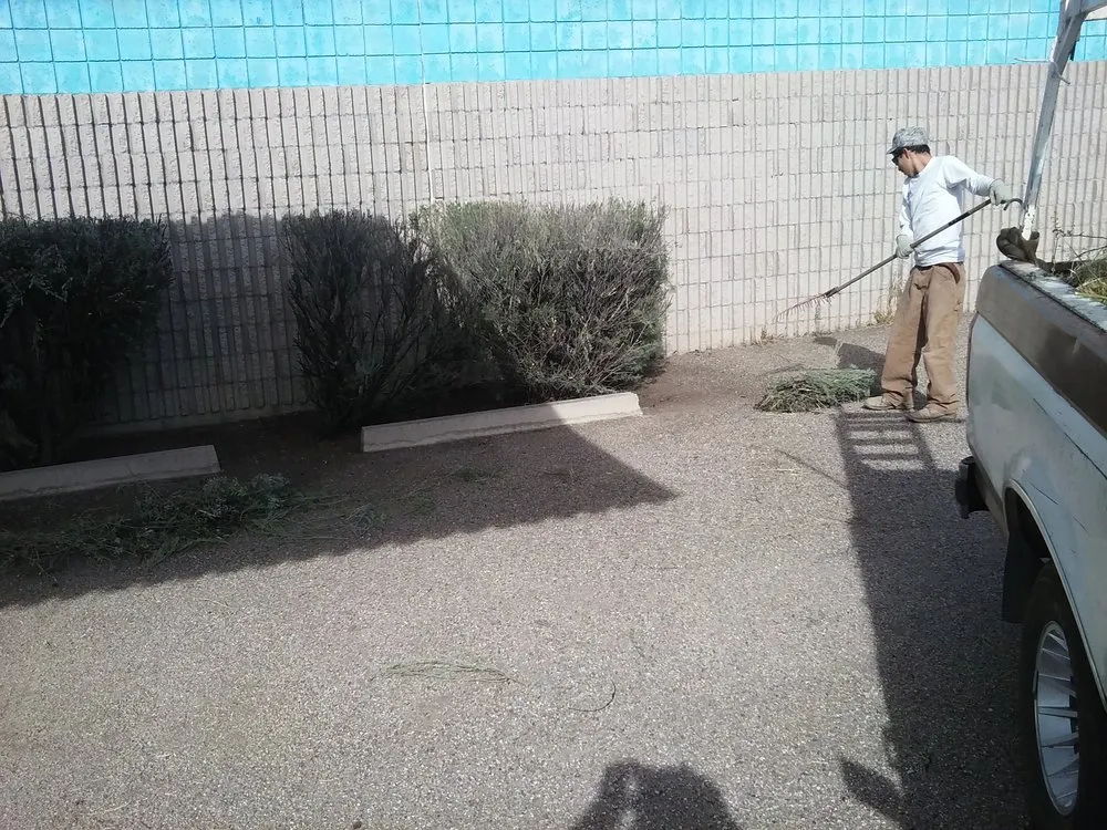 Reliable landscape design experts serving Tucson, AZ - American Bulldog Home Services & Repair