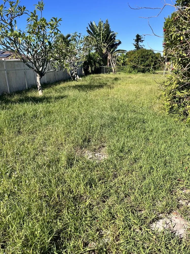 Top-rated residential landscaping with custom design across Fort Myers, FL - American Cutters Landscaping