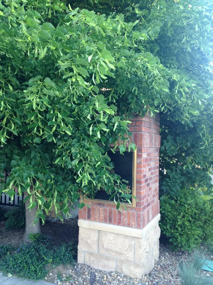 Top-rated landscape installation in Parker, CO - American Design & Landscape