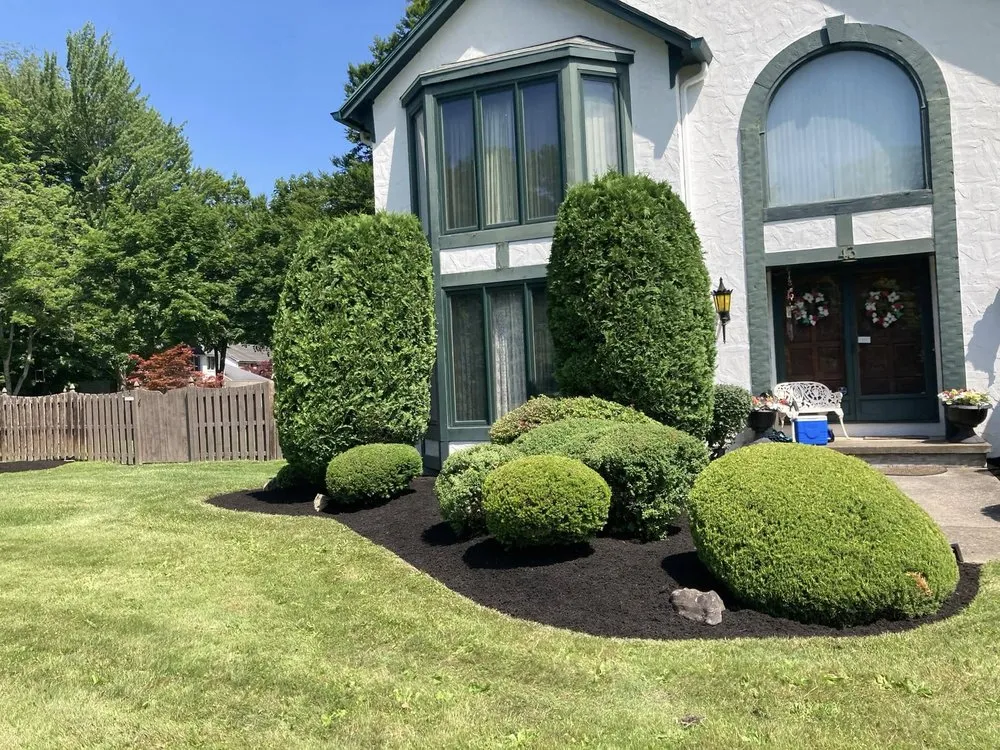 Local yard cleanup service for residential properties across Buffalo, NY - American Designer Landscape Reserve