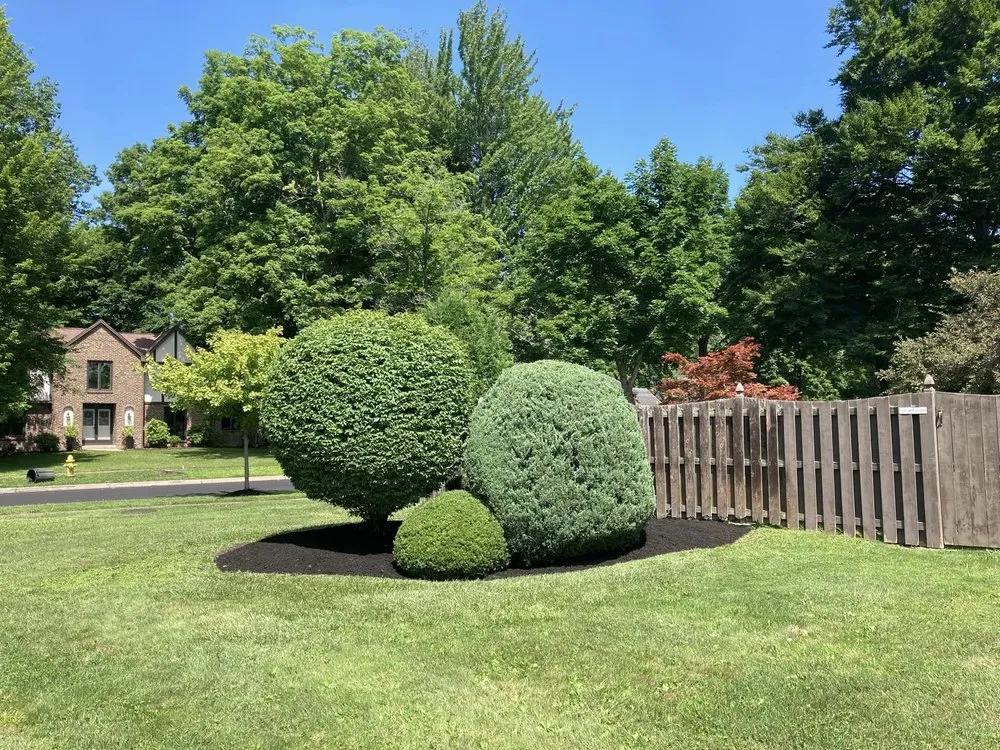 Top-rated garden landscaping in Buffalo, NY by American Designer Landscape Reserve