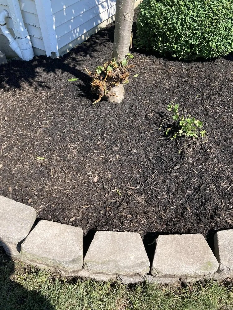 Professional lawn mowing service in Buffalo, NY - American Designer Landscape Reserve