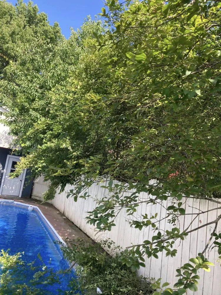 Expert lawn mowing service in Buffalo, NY - American Designer Landscape Reserve