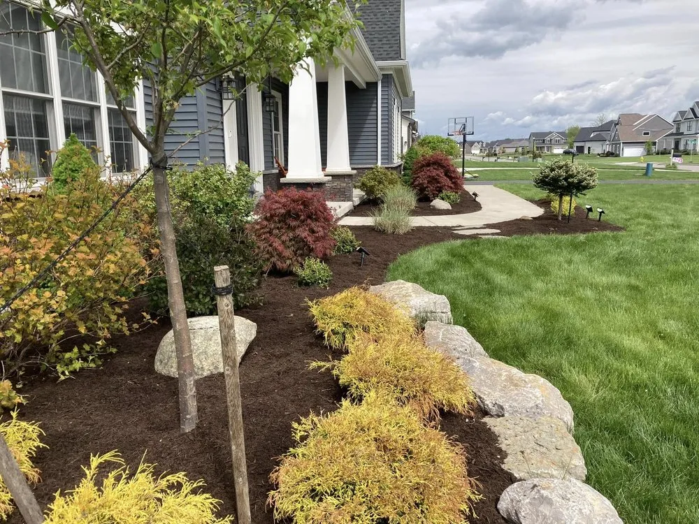Professional yard maintenance in Buffalo, NY by American Designer Landscape Reserve
