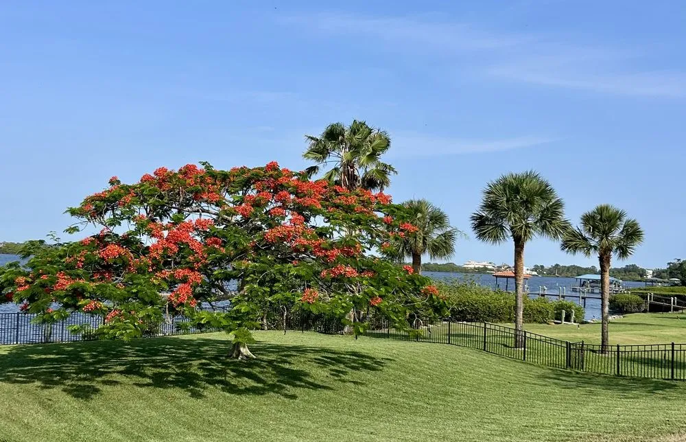 Trusted residential landscaping in Orlando, FL - American Dream Landscape & Estate Management