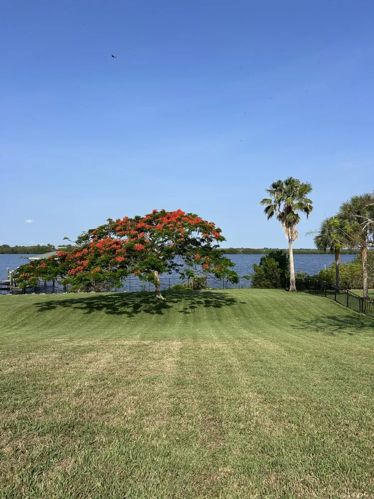 Top-rated yard maintenance near you in Orlando, FL by American Dream Landscape & Estate Management