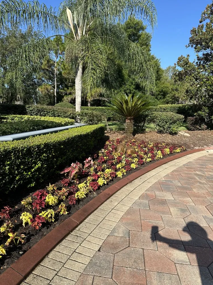 Reliable yard maintenance in Orlando, FL - American Dream Landscape & Estate Management
