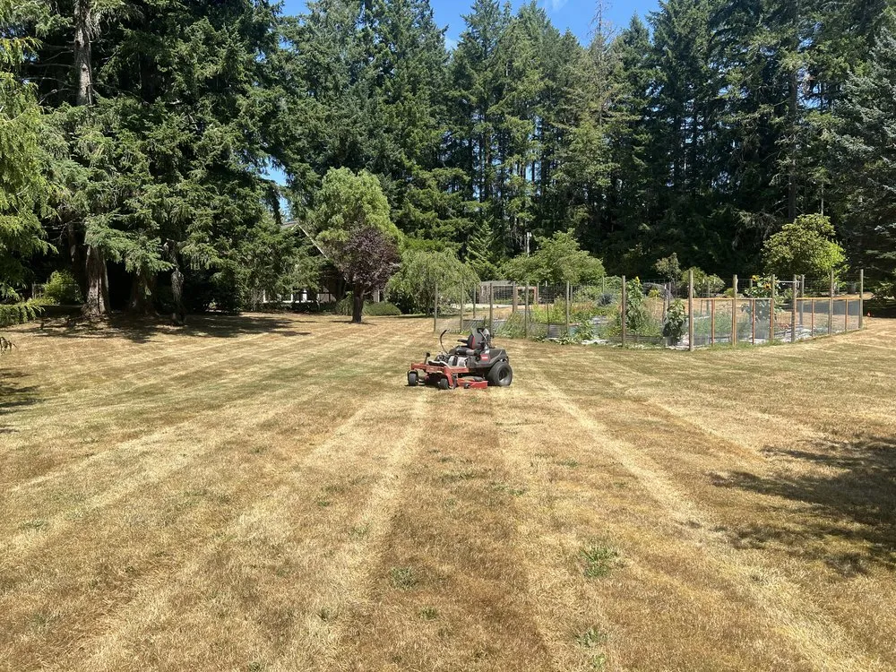 Expert landscape installation in Belfair, WA by American Dream Landscapes