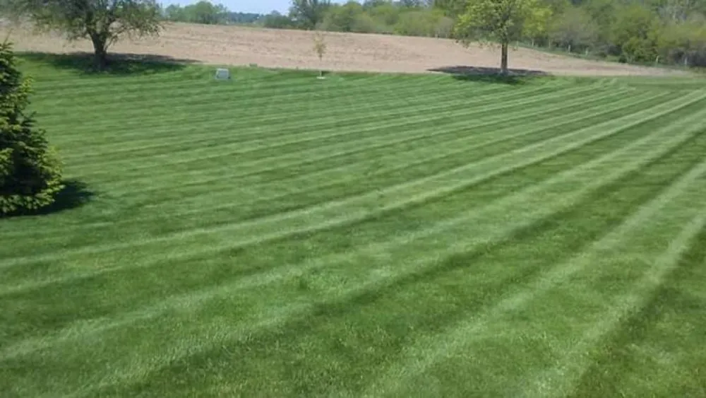 Trusted lawn care service for homes across New Castle, IN - American Dream Landscaping