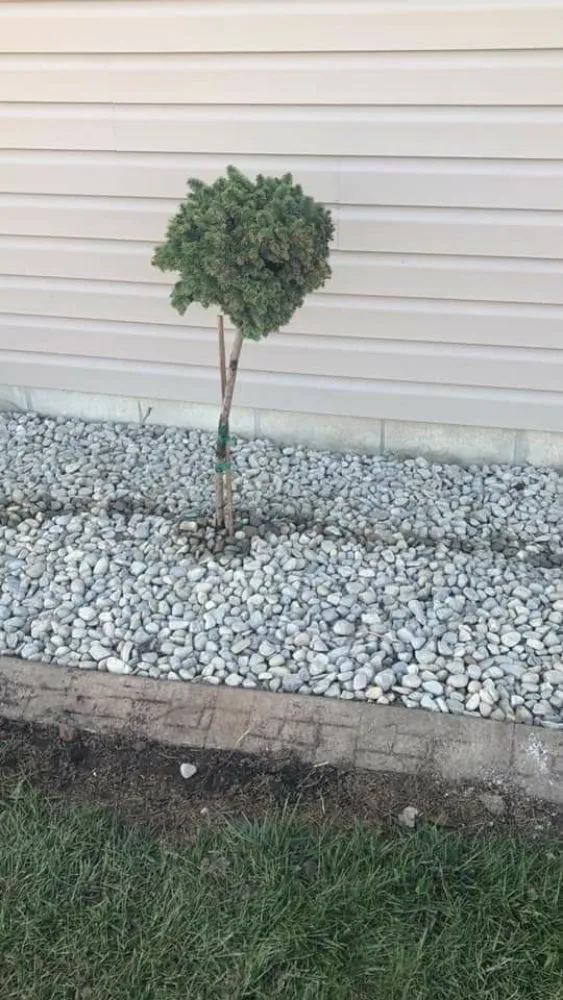 Custom landscaping services in New Castle, IN - American Dream Landscaping