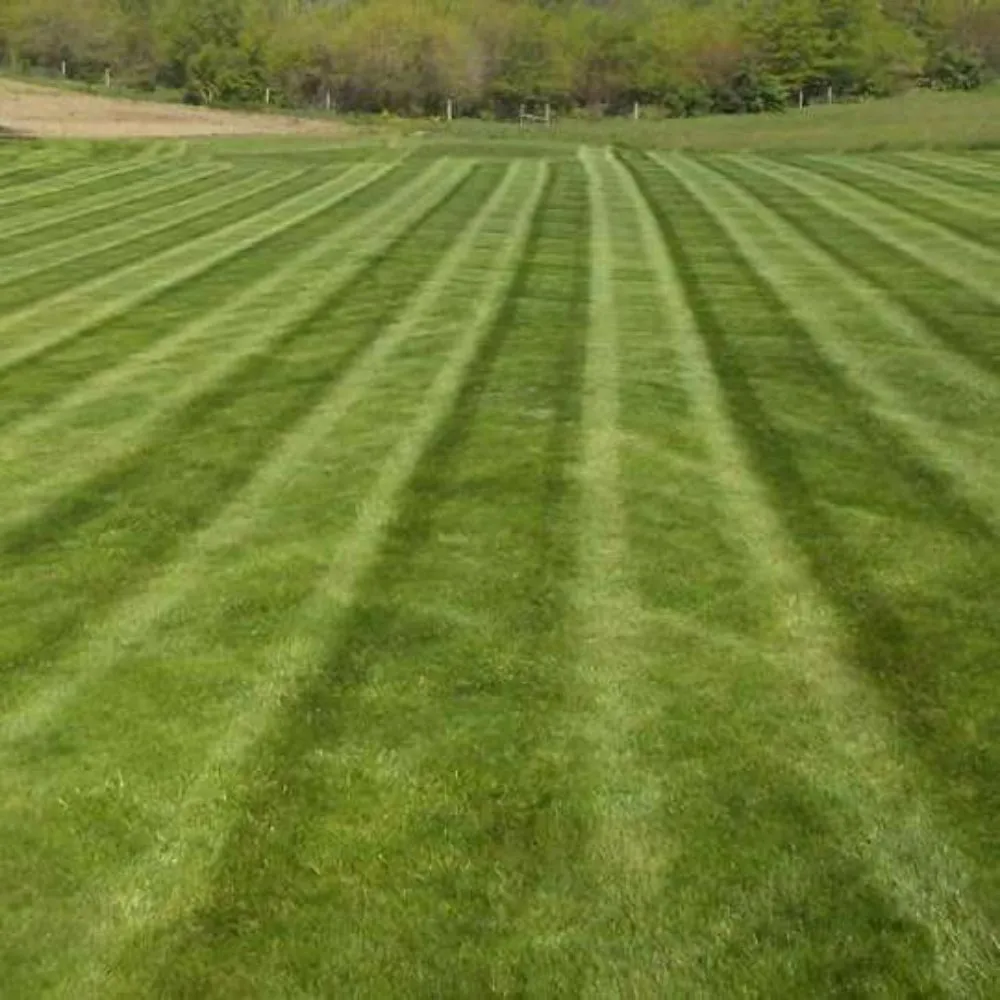 Trusted landscape installation for beautiful yards across New Castle, IN - American Dream Landscaping