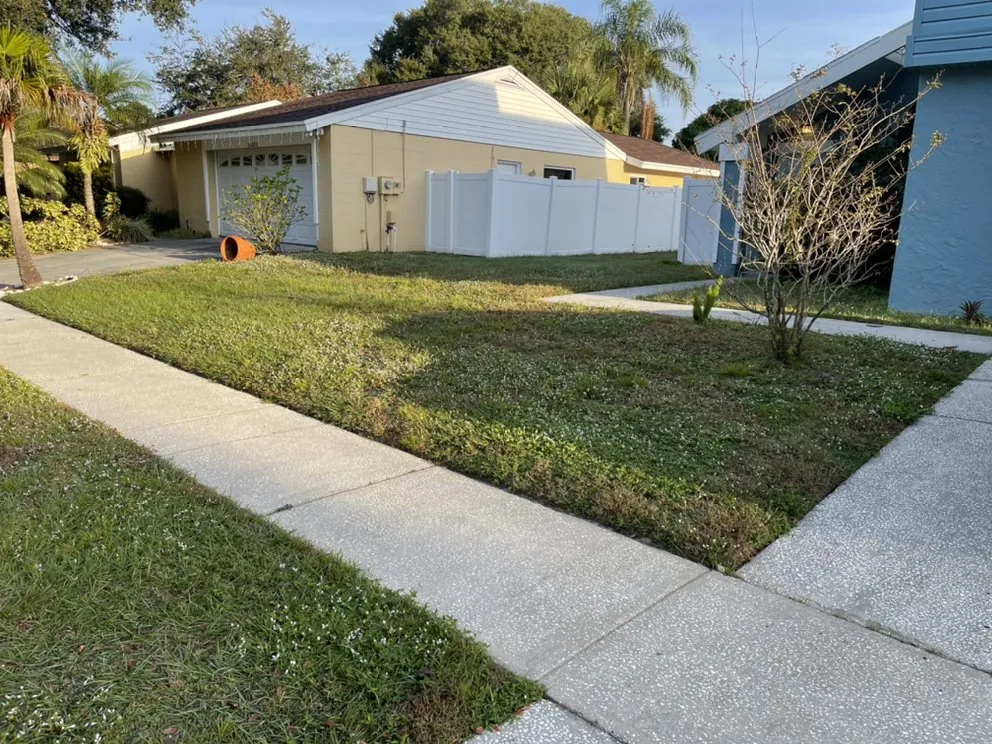 Expert yard cleanup service with custom design in Tampa, FL by American Dream Lawn & Cleaning Service