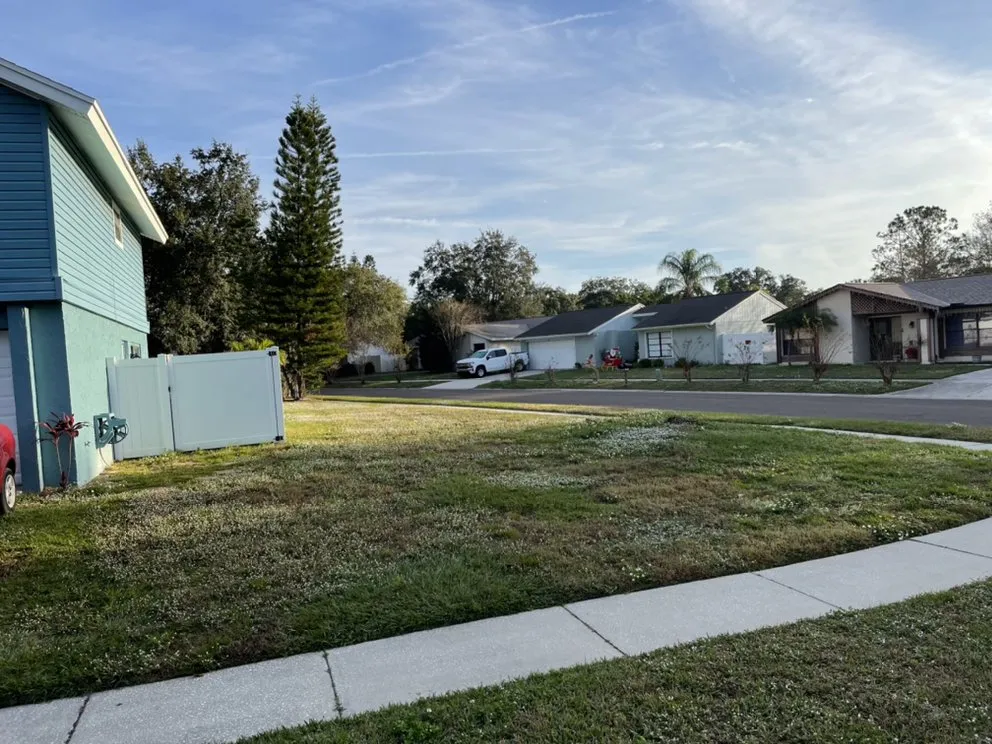 Affordable lawn care service experts serving Tampa, FL - American Dream Lawn & Cleaning Service