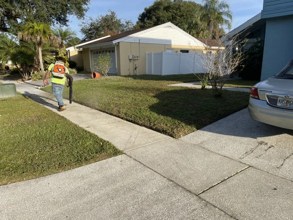 Reliable landscape design in Tampa, FL by American Dream Lawn & Cleaning Service