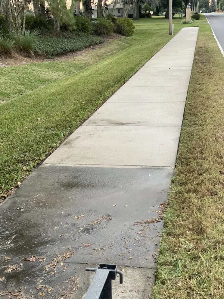 Reliable landscape design experts serving Tampa, FL - American Dream Lawn & Cleaning Service