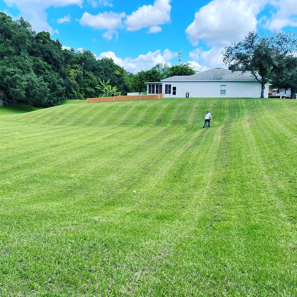 Local yard maintenance in Tampa, FL - American Dream Lawn & Cleaning Service