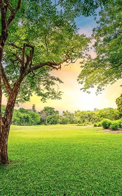 Expert outdoor landscaping for beautiful yards across Saint Clair Shores, MI - American Dream Lawn Maintenance