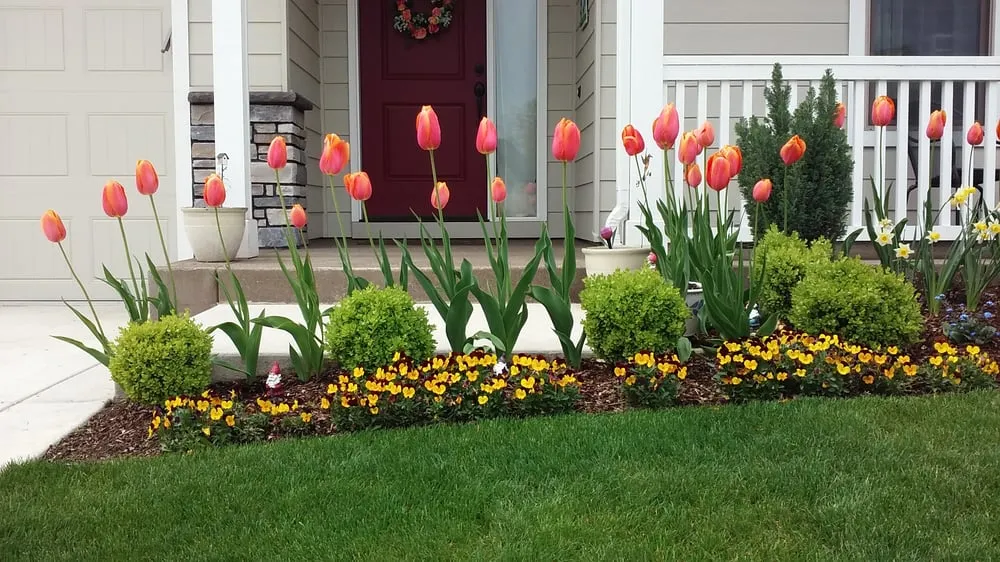 Local landscaping services for homes across Springfield, OR - American Dream