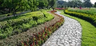 Reliable landscape installation experts serving Wabash, IN - American Eagle Lawn & Home Maintenance