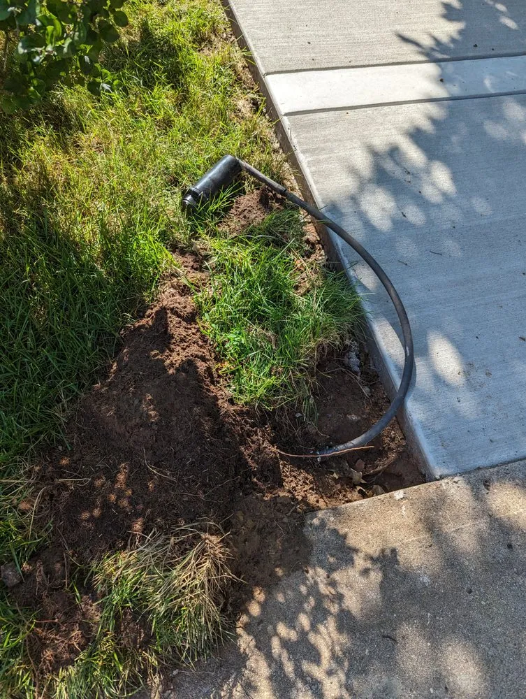 Top-rated landscaping services in Westminster, CO - American Eagle Outdoor