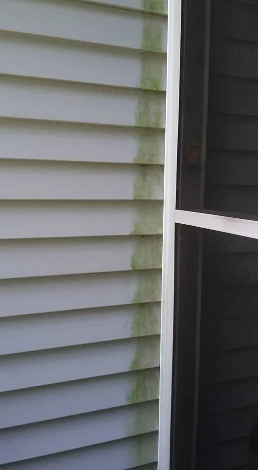 Trusted outdoor landscaping experts serving Shelton, CT - American Eagle Painting and Power Washing