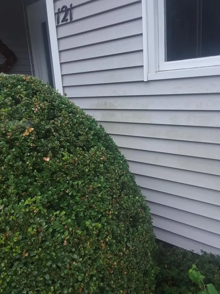 Expert outdoor landscaping near you across Shelton, CT - American Eagle Painting and Power Washing