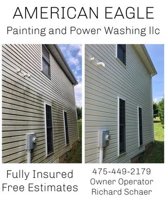 American Eagle Painting and Power Washing Logo