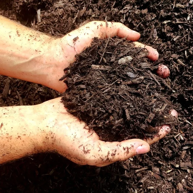 Trusted yard cleanup service for outdoor upgrades across North Ridgeville, OH - American Earth Supply