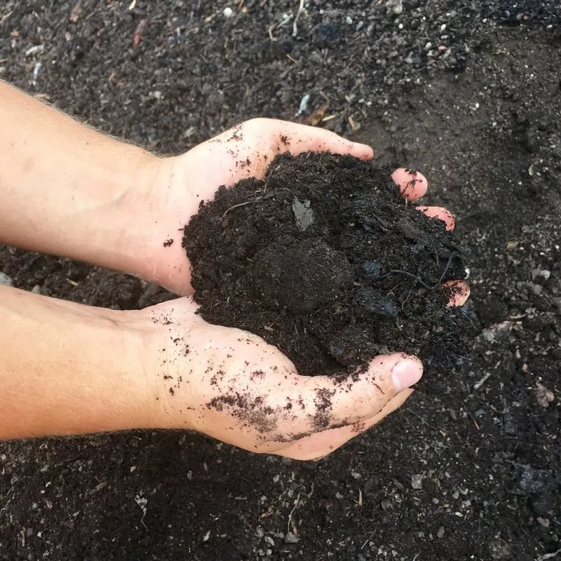 Custom landscape installation experts serving North Ridgeville, OH - American Earth Supply