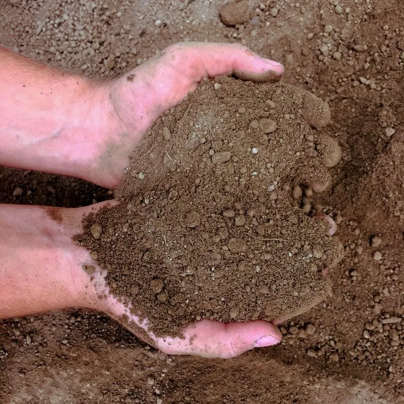 Local landscape design for outdoor upgrades across North Ridgeville, OH - American Earth Supply