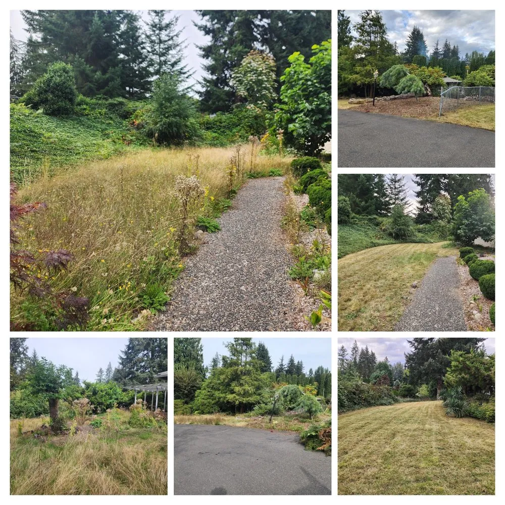 Professional landscaping services for outdoor upgrades across Marysville, WA - American Edge Lawn Maintenance