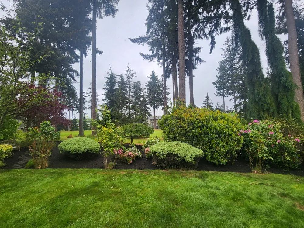 Custom landscape installation with custom design in Marysville, WA by American Edge Lawn Maintenance