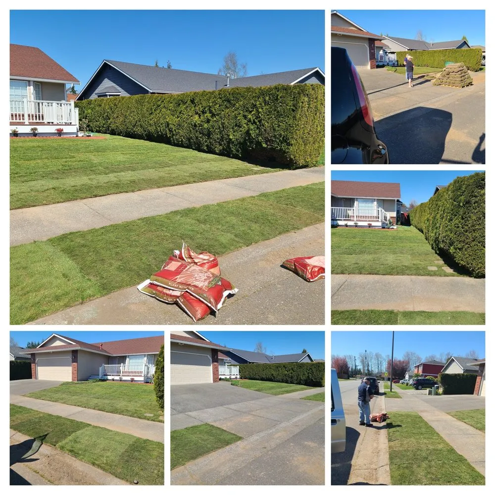 Professional landscape design experts serving Marysville, WA - American Edge Lawn Maintenance