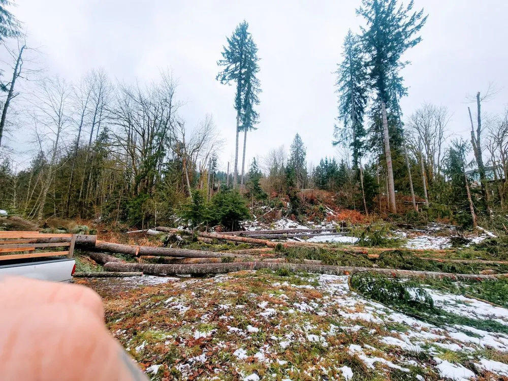 Reliable residential landscaping in Marysville, WA by American Edge Lawn Maintenance