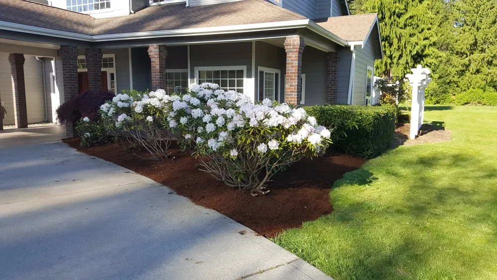 Local yard cleanup service for year-round maintenance in Marysville, WA by American Edge Lawn Maintenance