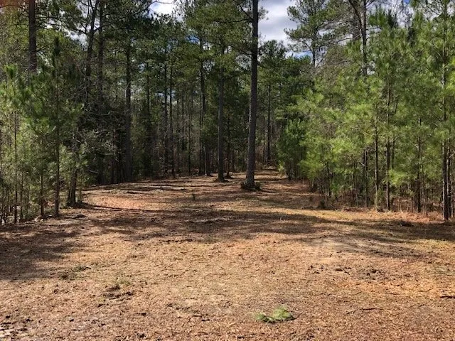 Local garden landscaping in Winnsboro, SC by American Environmental Clearing