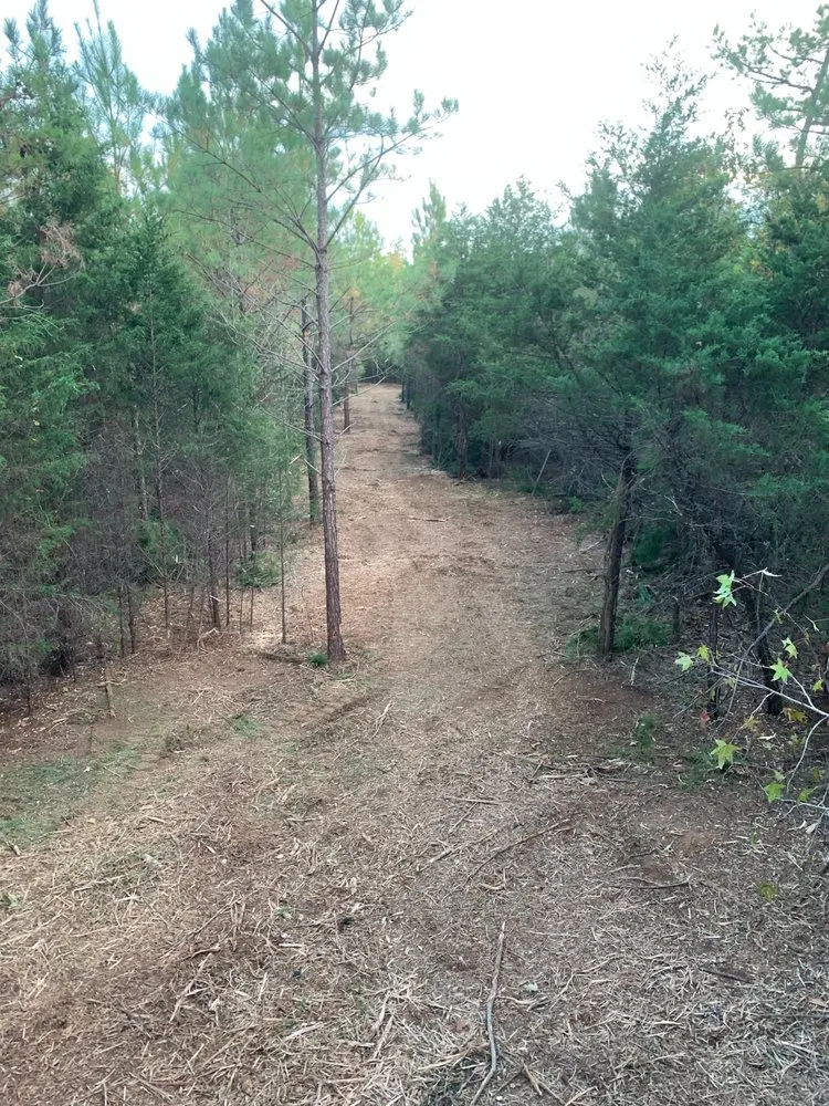 Reliable landscaping services in Winnsboro, SC - American Environmental Clearing