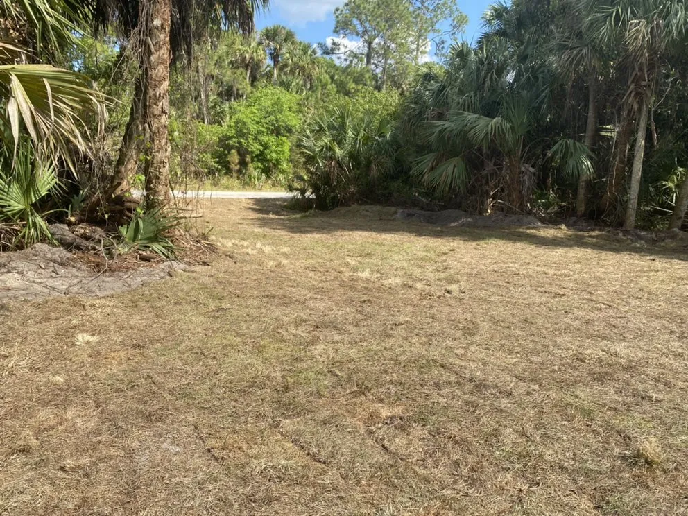 Reliable lawn care service for beautiful yards across North Port, FL - American Excavation