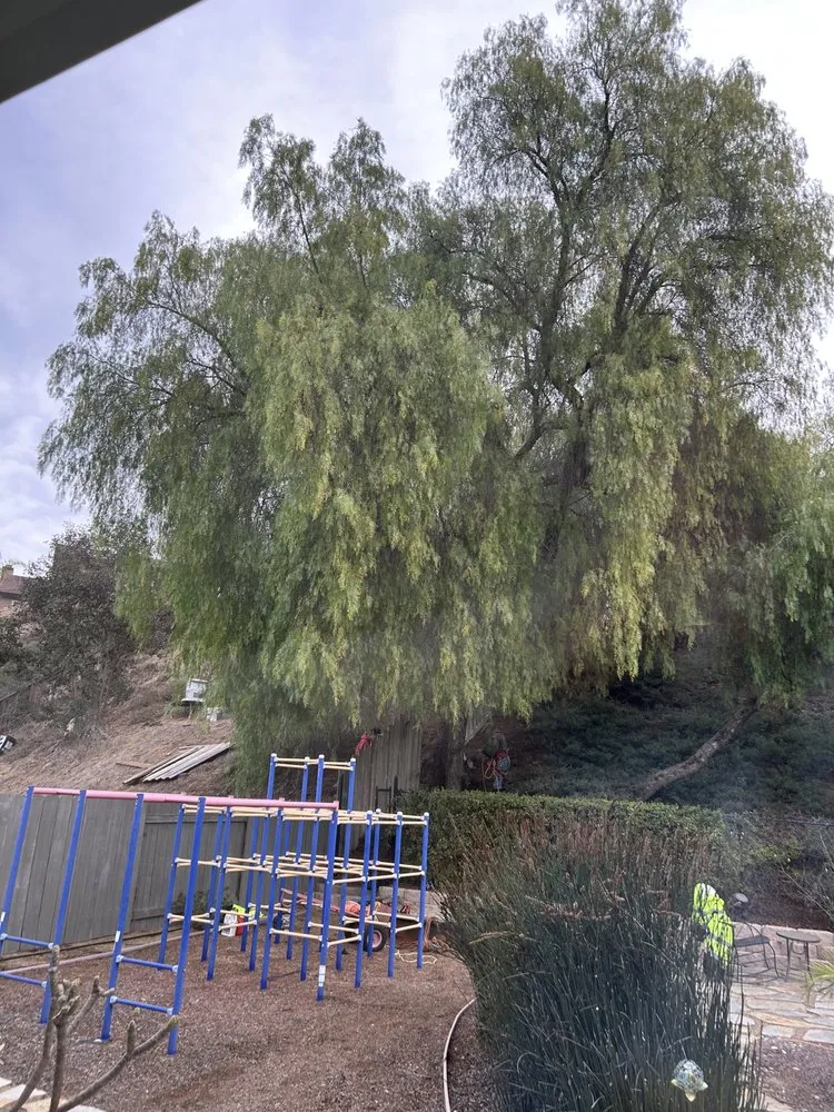 Expert residential landscaping for residential properties across El Cajon, CA - American Family Tree Care