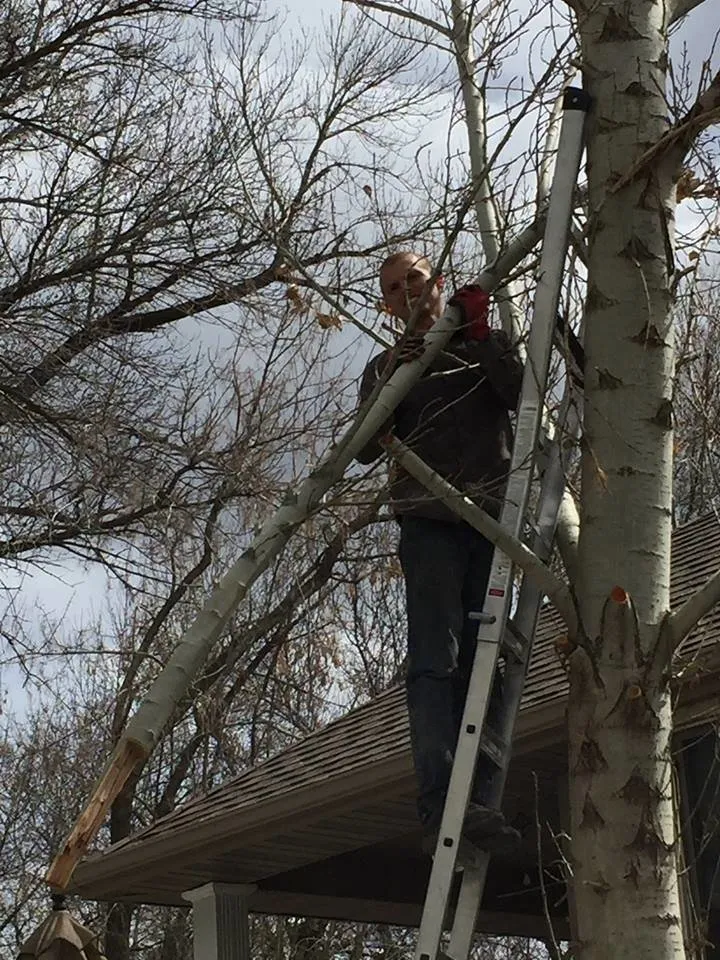 Professional lawn care service in Woods Cross, UT - American Firewood and Tree Service