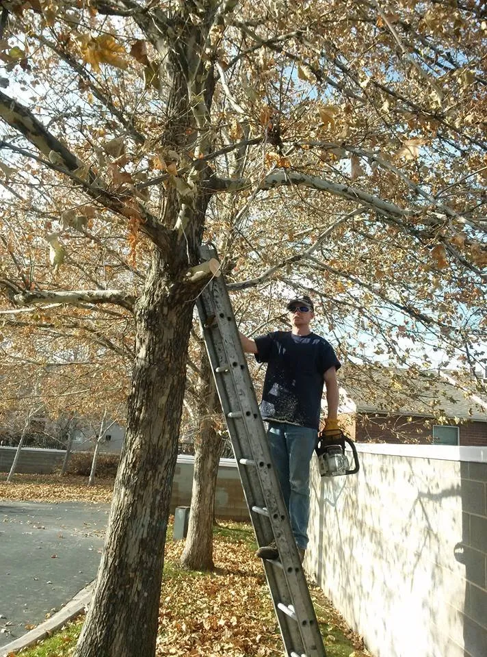 Local garden landscaping in Woods Cross, UT - American Firewood and Tree Service