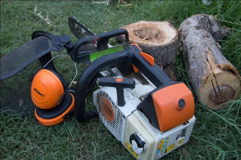 Expert yard cleanup service in Citrus Heights, CA - American Gardens