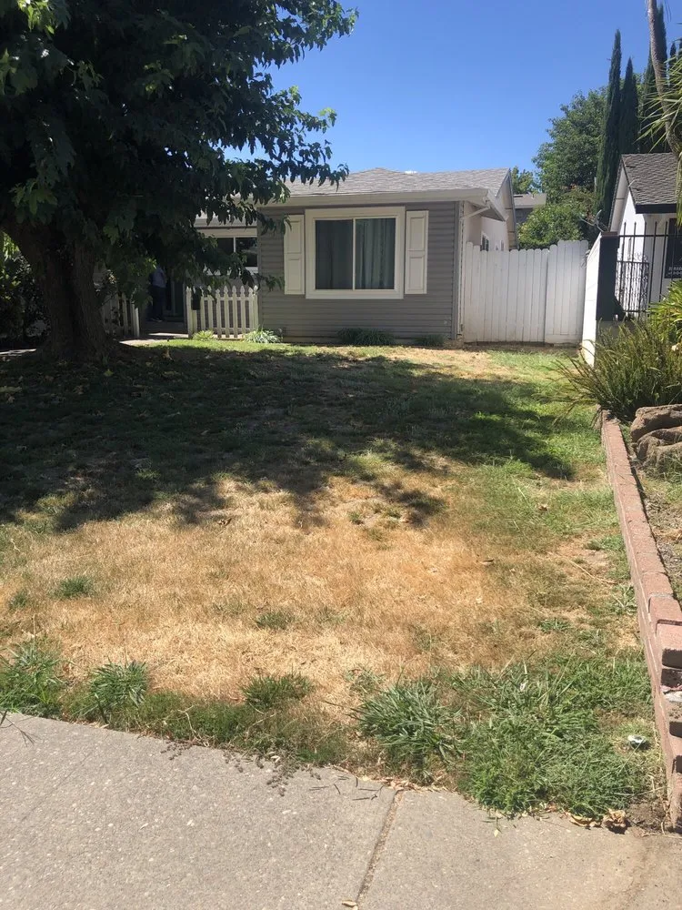 Expert landscaping services in Citrus Heights, CA - American Gardens